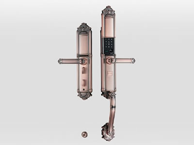 家用智能锁-ZW-8201D